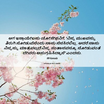 Picture 06 - ಆದಿಕಾಂಡ 48:11 KANIRV - ಆಗ ಇಸ್ರಾಯೇಲನು - Bible Verse Picture