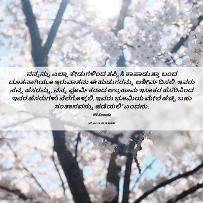 Picture 06 - ಆದಿಕಾಂಡ 48:16 KANIRV - ನನ್ನನ್ನು ಎಲ್ಲಾ - Bible Verse Picture