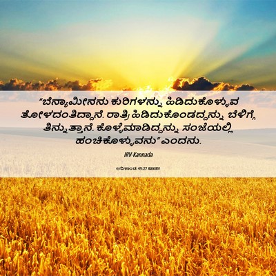 Picture 06 - ಆದಿಕಾಂಡ 49:27 KANIRV - “ಬೆನ್ಯಾಮೀನನು - Bible Verse Picture