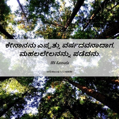 Picture 06 - ಆದಿಕಾಂಡ 5:12 KANIRV - ಕೇನಾನನು ಎಪ್ಪತ್ತು - Bible Verse Picture