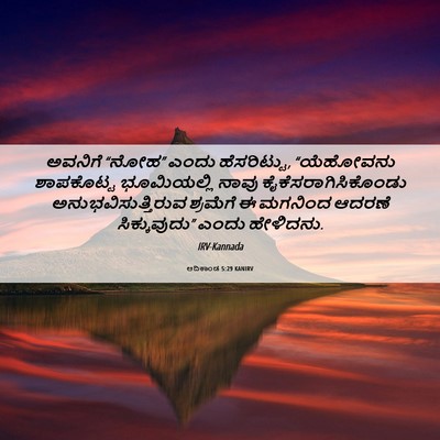 Picture 06 - ಆದಿಕಾಂಡ 5:29 KANIRV - ಅವನಿಗೆ “ನೋಹ” ಎಂದು - Bible Verse Picture