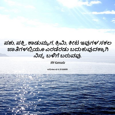 Picture 06 - ಆದಿಕಾಂಡ 6:20 KANIRV - ಪಶು, ಪಕ್ಷಿ, - Bible Verse Picture