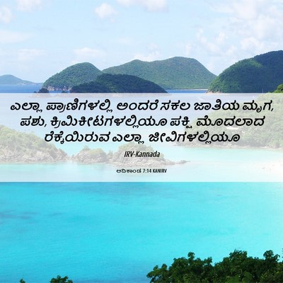 Picture 06 - ಆದಿಕಾಂಡ 7:14 KANIRV - ಎಲ್ಲಾ - Bible Verse Picture