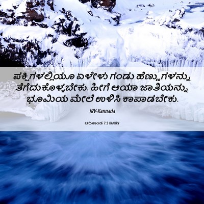 Picture 06 - ಆದಿಕಾಂಡ 7:3 KANIRV - ಪಕ್ಷಿಗಳಲ್ಲಿಯೂ - Bible Verse Picture