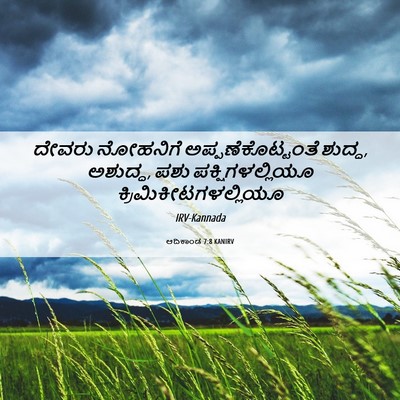 Picture 06 - ಆದಿಕಾಂಡ 7:8 KANIRV - ದೇವರು ನೋಹನಿಗೆ - Bible Verse Picture