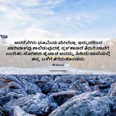 Picture 06 - ಆದಿಕಾಂಡ 8:9 KANIRV - ಆದರೆ ನೀರು ಭೂಮಿಯ - Bible Verse Picture