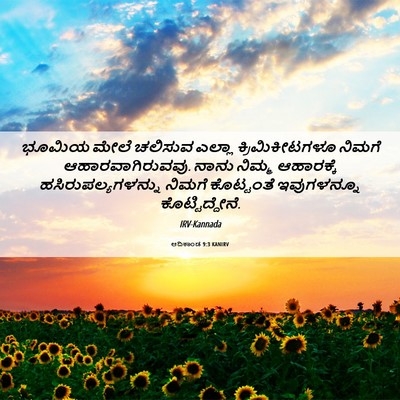 Picture 06 - ಆದಿಕಾಂಡ 9:3 KANIRV - ಭೂಮಿಯ ಮೇಲೆ ಚಲಿಸುವ - Bible Verse Picture
