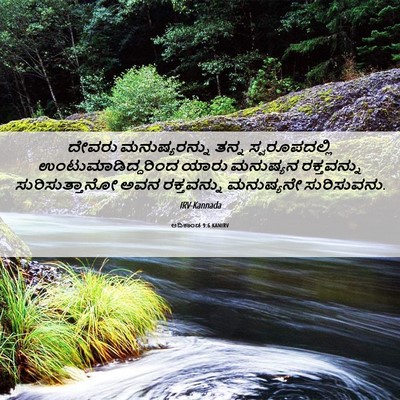 Picture 06 - ಆದಿಕಾಂಡ 9:6 KANIRV - ದೇವರು ಮನುಷ್ಯರನ್ನು - Bible Verse Picture