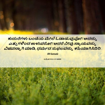 Picture 06 - ಆಮೋಸನು 6:12 KANIRV - ಕುದುರೆಗಳು ಬಂಡೆಯ - Bible Verse Picture