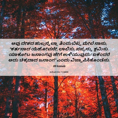 Picture 06 - ಆಮೋಸನು 7:2 KANIRV - ಅವು ದೇಶದ - Bible Verse Picture