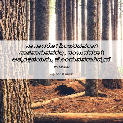 Picture 06 - ಇಬ್ರಿಯರಿಗೆ 10:39 KANIRV - ನಾವಾದರೋ - Bible Verse Picture