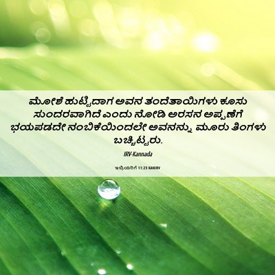 Picture 06 - ಇಬ್ರಿಯರಿಗೆ 11:23 KANIRV - ಮೋಶೆ ಹುಟ್ಟಿದಾಗ - Bible Verse Picture