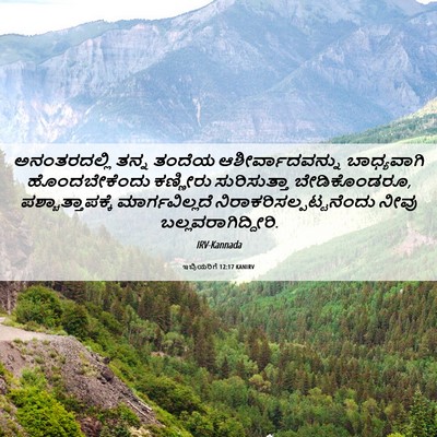 Picture 06 - ಇಬ್ರಿಯರಿಗೆ 12:17 KANIRV - ಅನಂತರದಲ್ಲಿ ತನ್ನ - Bible Verse Picture