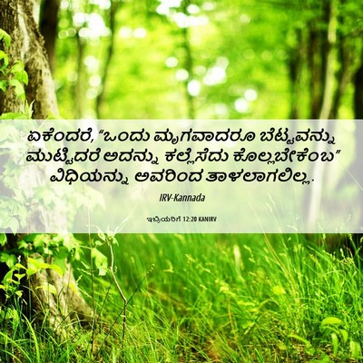 Picture 06 - ಇಬ್ರಿಯರಿಗೆ 12:20 KANIRV - ಏಕೆಂದರೆ, “ಒಂದು - Bible Verse Picture
