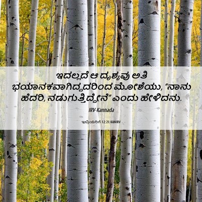 Picture 06 - ಇಬ್ರಿಯರಿಗೆ 12:21 KANIRV - ಇದಲ್ಲದೆ ಆ ದೃಶ್ಯವು - Bible Verse Picture