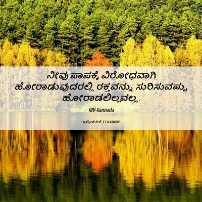 Picture 06 - ಇಬ್ರಿಯರಿಗೆ 12:4 KANIRV - ನೀವು ಪಾಪಕ್ಕೆ - Bible Verse Picture