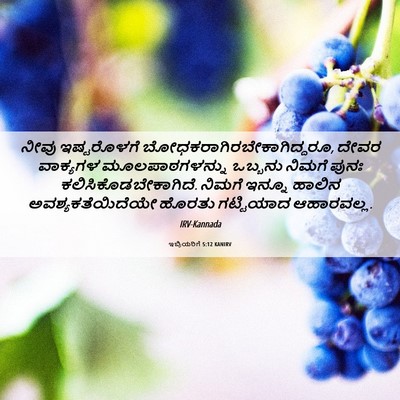 Picture 06 - ಇಬ್ರಿಯರಿಗೆ 5:12 KANIRV - ನೀವು ಇಷ್ಟರೊಳಗೆ - Bible Verse Picture
