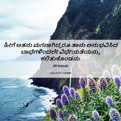 Picture 06 - ಇಬ್ರಿಯರಿಗೆ 5:8 KANIRV - ಹೀಗೆ ಆತನು - Bible Verse Picture
