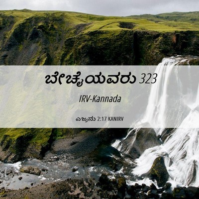 Picture 06 - ಎಜ್ರನು 2:17 KANIRV - ಬೇಚೈಯವರು - Bible Verse Picture