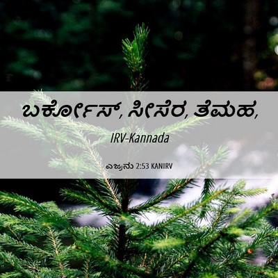 Picture 06 - ಎಜ್ರನು 2:53 KANIRV - ಬರ್ಕೋಸ್, ಸೀಸೆರ, - Bible Verse Picture