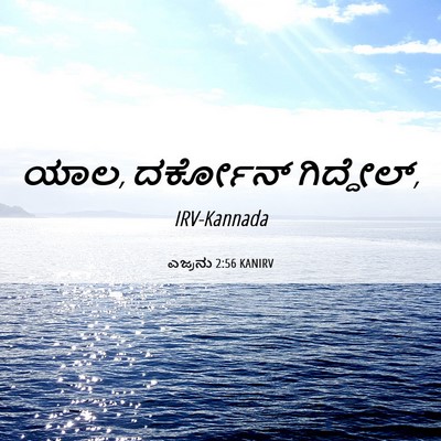 Picture 06 - ಎಜ್ರನು 2:56 KANIRV - ಯಾಲ, ದರ್ಕೋನ್ - Bible Verse Picture