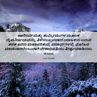 Picture 06 - ಎಜ್ರನು 2:63 KANIRV - ಊರೀಮ್ ಮತ್ತು - Bible Verse Picture