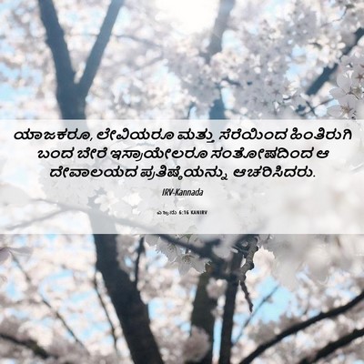 Picture 06 - ಎಜ್ರನು 6:16 KANIRV - ಯಾಜಕರೂ, ಲೇವಿಯರೂ - Bible Verse Picture