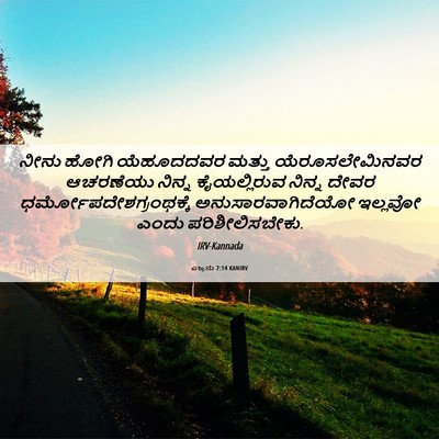 Picture 06 - ಎಜ್ರನು 7:14 KANIRV - ನೀನು ಹೋಗಿ - Bible Verse Picture