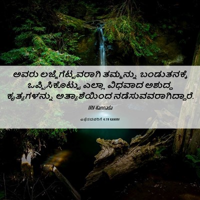 Picture 06 - ಎಫೆಸದವರಿಗೆ 4:19 KANIRV - ಅವರು - Bible Verse Picture