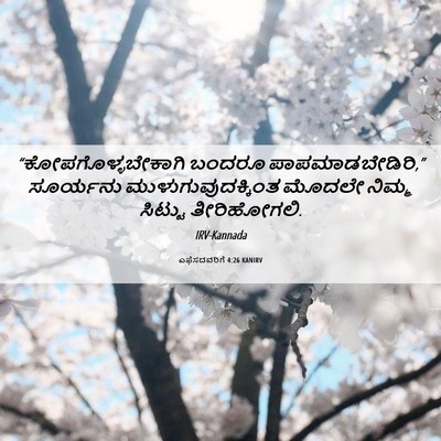 Picture 06 - ಎಫೆಸದವರಿಗೆ 4:26 KANIRV - “ಕೋಪಗೊಳ್ಳಬೇಕಾಗಿ - Bible Verse Picture