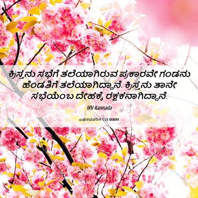 Picture 06 - ಎಫೆಸದವರಿಗೆ 5:23 KANIRV - ಕ್ರಿಸ್ತನು ಸಭೆಗೆ - Bible Verse Picture