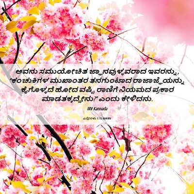 Picture 06 - ಎಸ್ತೇರಳು 1:15 KANIRV - ಅವನು ಸಮುಯೋಚಿತ - Bible Verse Picture