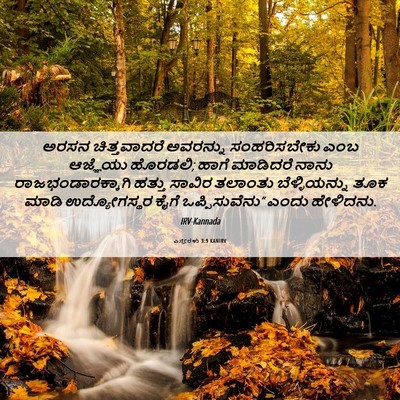 Picture 06 - ಎಸ್ತೇರಳು 3:9 KANIRV - ಅರಸನ ಚಿತ್ತವಾದರೆ - Bible Verse Picture