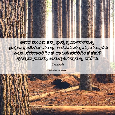 Picture 06 - ಎಸ್ತೇರಳು 5:11 KANIRV - ಅವರ ಮುಂದೆ ತನ್ನ - Bible Verse Picture