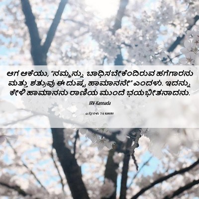 Picture 06 - ಎಸ್ತೇರಳು 7:6 KANIRV - ಆಗ ಆಕೆಯು, - Bible Verse Picture