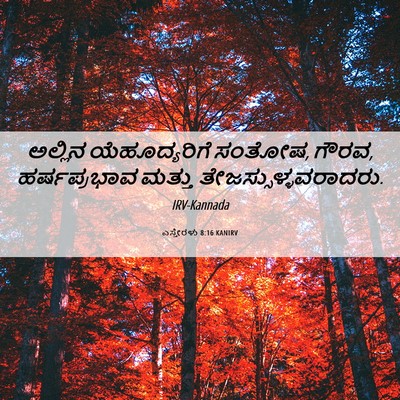 Picture 06 - ಎಸ್ತೇರಳು 8:16 KANIRV - ಅಲ್ಲಿನ - Bible Verse Picture