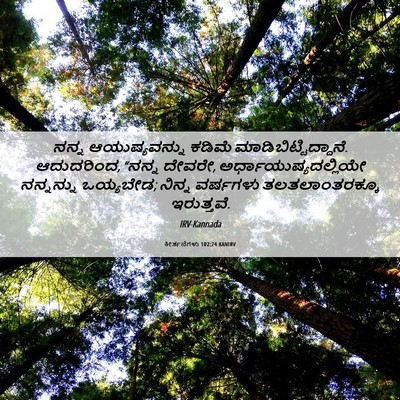Picture 06 - ಕೀರ್ತನೆಗಳು 102:24 KANIRV - ನನ್ನ ಆಯುಷ್ಯವನ್ನು - Bible Verse Picture