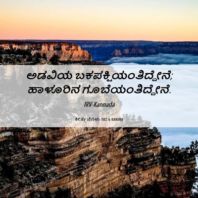 Picture 06 - ಕೀರ್ತನೆಗಳು 102:6 KANIRV - ಅಡವಿಯ - Bible Verse Picture