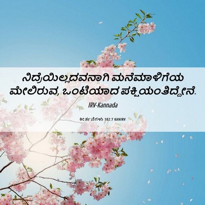 Picture 06 - ಕೀರ್ತನೆಗಳು 102:7 KANIRV -  - Bible Verse Picture