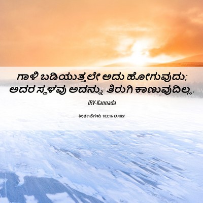 Picture 06 - ಕೀರ್ತನೆಗಳು 103:16 KANIRV - ಗಾಳಿ ಬಡಿಯುತ್ತಲೇ - Bible Verse Picture