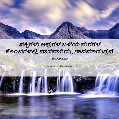Picture 06 - ಕೀರ್ತನೆಗಳು 104:12 KANIRV - ಪಕ್ಷಿಗಳು ಅವುಗಳ - Bible Verse Picture