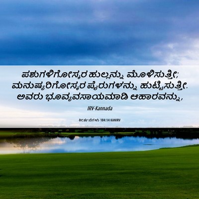Picture 06 - ಕೀರ್ತನೆಗಳು 104:14 KANIRV - ಪಶುಗಳಿಗೋಸ್ಕರ - Bible Verse Picture