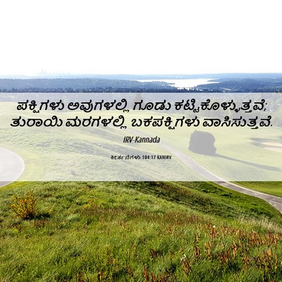 Picture 06 - ಕೀರ್ತನೆಗಳು 104:17 KANIRV - ಪಕ್ಷಿಗಳು - Bible Verse Picture