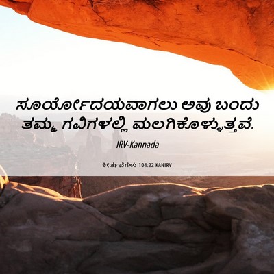 Picture 06 - ಕೀರ್ತನೆಗಳು 104:22 KANIRV - ಸೂರ್ಯೋದಯವಾಗಲು ಅವು - Bible Verse Picture