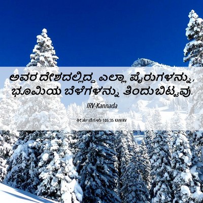 Picture 06 - ಕೀರ್ತನೆಗಳು 105:35 KANIRV - ಅವರ ದೇಶದಲ್ಲಿದ್ದ - Bible Verse Picture