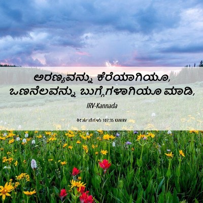 Picture 06 - ಕೀರ್ತನೆಗಳು 107:35 KANIRV - ಅರಣ್ಯವನ್ನು - Bible Verse Picture