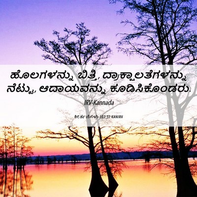 Picture 06 - ಕೀರ್ತನೆಗಳು 107:37 KANIRV - ಹೊಲಗಳನ್ನು ಬಿತ್ತಿ, - Bible Verse Picture