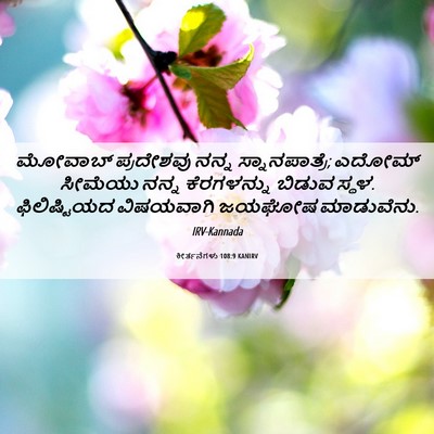 Picture 06 - ಕೀರ್ತನೆಗಳು 108:9 KANIRV - ಮೋವಾಬ್ ಪ್ರದೇಶವು - Bible Verse Picture