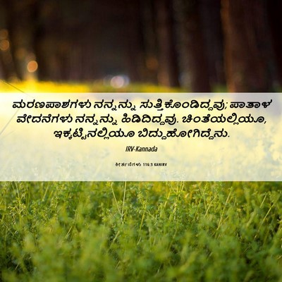 Picture 06 - ಕೀರ್ತನೆಗಳು 116:3 KANIRV - ಮರಣಪಾಶಗಳು - Bible Verse Picture