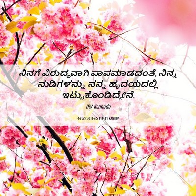 Picture 06 - ಕೀರ್ತನೆಗಳು 119:11 KANIRV - ನಿನಗೆ ವಿರುದ್ಧವಾಗಿ - Bible Verse Picture